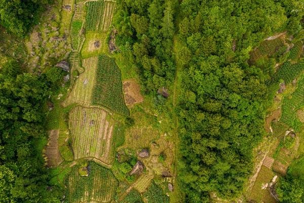 2022达州马渡关石林景区旅游攻略 - 门票 - 景点介绍