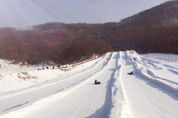 2024鸣山绿洲滑雪场游玩攻略-门票价格-景点信息