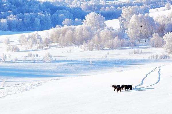 冬天旅游必去十大景点推荐 冬天特有的雾凇和雪景这些景点有