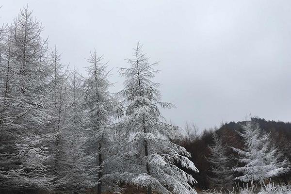 湖北有没有滑雪的地方 湖北最全滑雪攻略