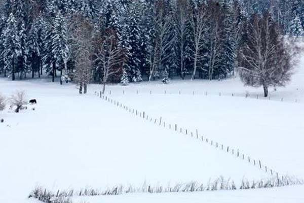 2020-2021可可托海国际滑雪场可以免费滑雪吗 有哪些条件