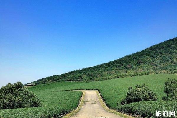 2022龙池山风景区门票价格 - 交通 - 租车攻略