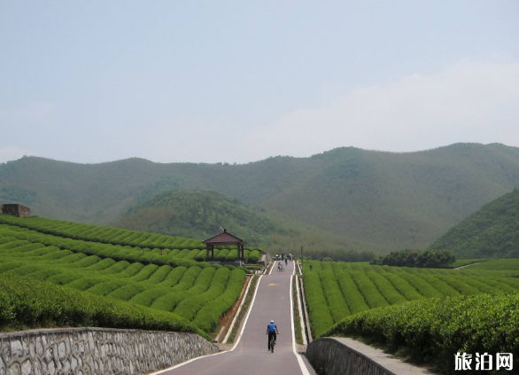 2022龙池山风景区门票价格 - 交通 - 租车攻略