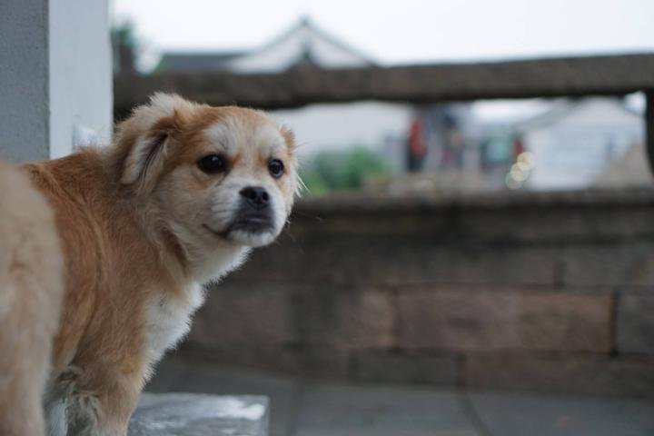 海宁旅游景点  海宁旅游景点介绍大全