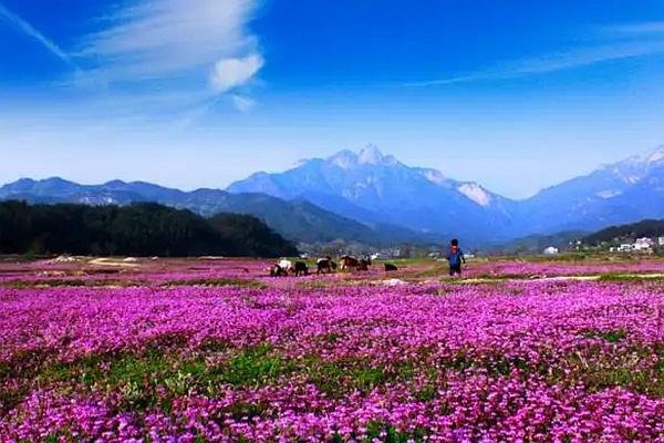 罗田燕儿谷景区游玩攻略 门票、住宿、最佳游玩时间都在这了