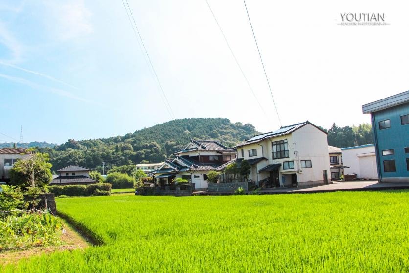 景德镇旅游攻略 景德镇旅游攻略一日游