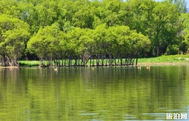 大理剑湖湿地公园游玩攻略