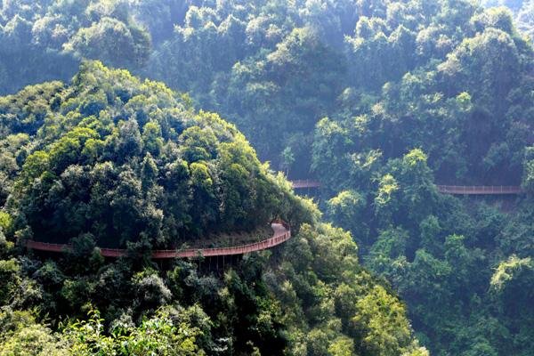 大余丫山风景区旅游攻略-门票价格-景点信息