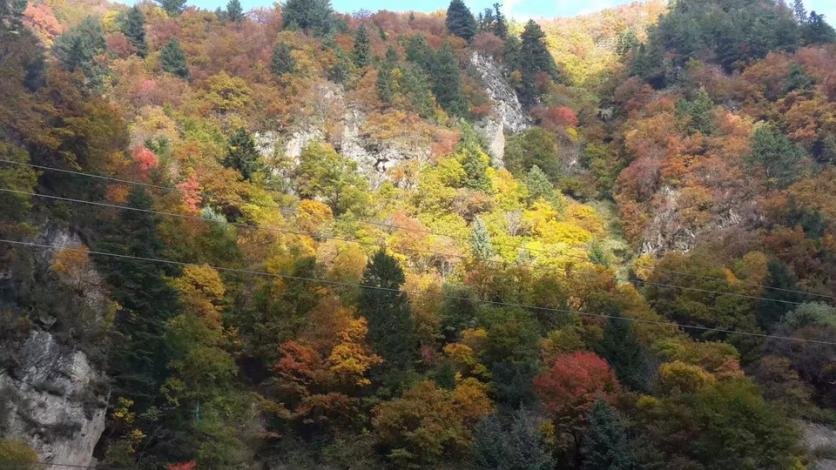 阿坝黑水县旅游攻略