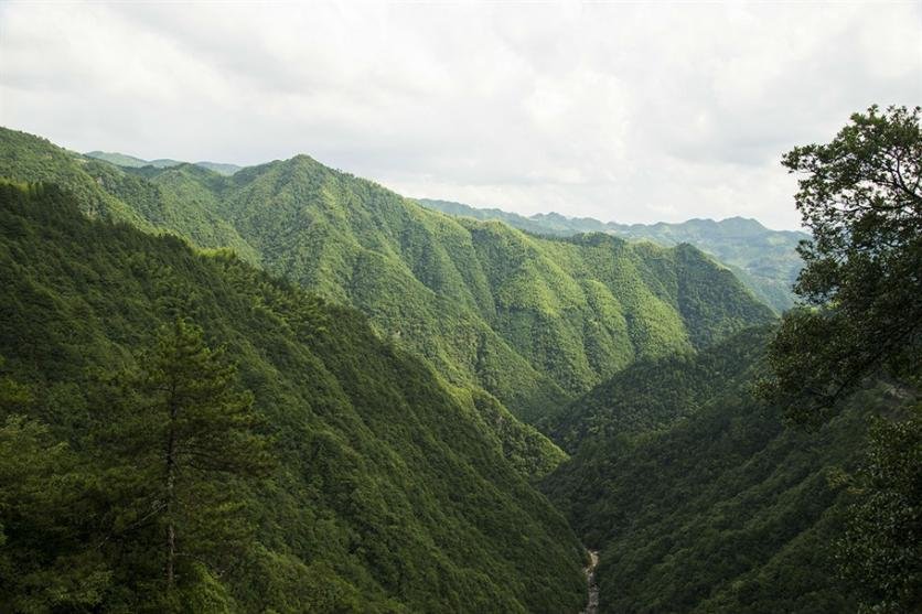 景宁有什么旅游景点 景宁自驾游攻略