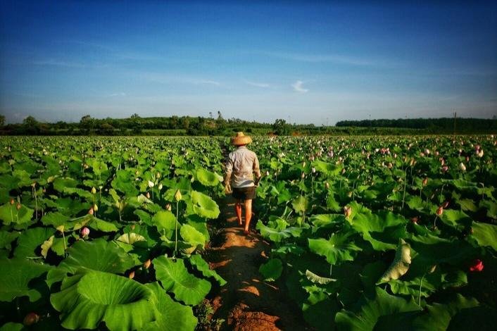 临高县有什么好玩的 临高县有哪些旅游景点