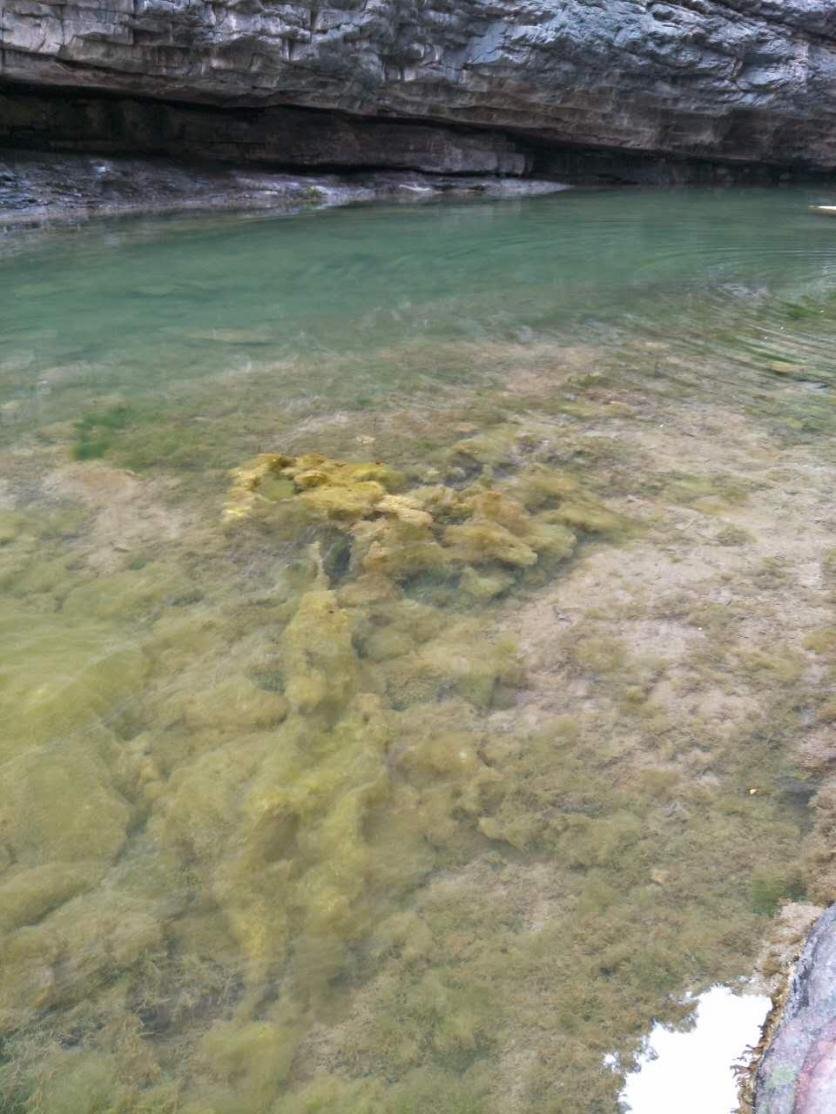 林州大峡谷门票多少钱 林州大峡谷在哪里