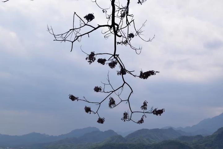  都江堰风景区在哪儿