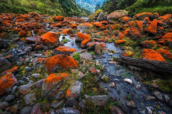 二郎山喇叭河景区游玩攻略-门票价格-景点信息