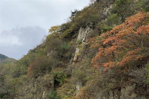 2022九仙山峡谷漂流电话 - 门票 - 地址 - 游玩攻略