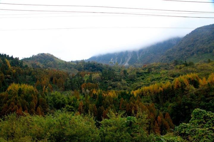 鞍子河自然保护区  崇州鞍子河