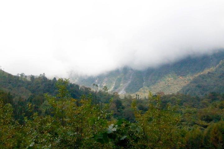 鞍子河自然保护区  崇州鞍子河