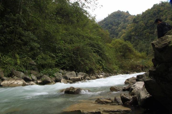 鞍子河自然保护区  崇州鞍子河