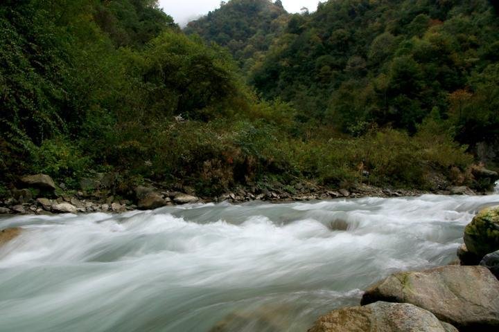 鞍子河自然保护区  崇州鞍子河