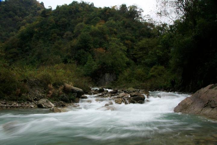 鞍子河自然保护区  崇州鞍子河