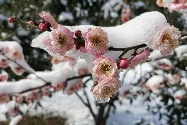 湖北省冬天适合哪里旅游 找好自己的喜好这些地方不能错过