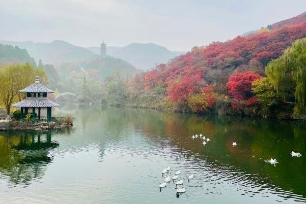 济南红叶谷最佳旅游时间