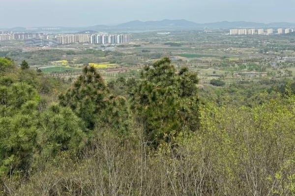 南京溧水适合露营的地方有哪些 露营地点推荐