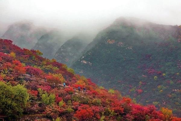 北京看红叶最佳景点