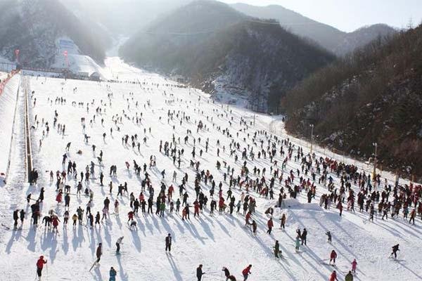 2023嵩县木札岭速龙滑雪场旅游攻略 - 门票价格 - 优惠政策 - 开放时间 - 简介 - 交通 - 美食 - 地址 - 电话 - 天气