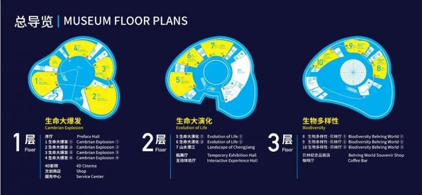 澄江化石地世界自然遗产博物馆最优游览路线详解