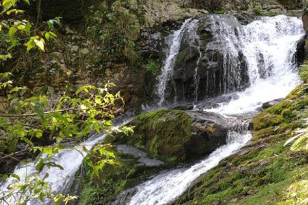 2022井冈山龙潭景区旅游攻略 - 门票 - 交通 - 地址