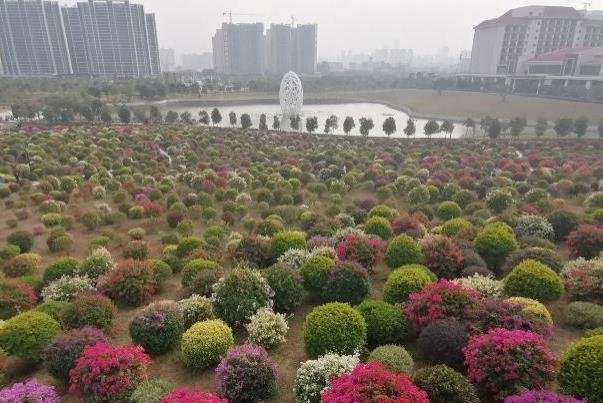 惠州千花洲门票多少钱在哪里及游玩攻略