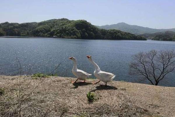 2022九里落雁湖旅游攻略 - 门票 - 交通 - 天气 - 介绍