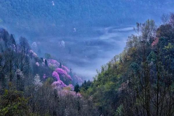 绵阳北川药王谷旅游攻略-门票价格-景点信息